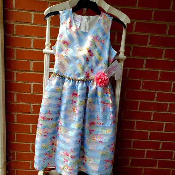 BNWT Bonnie Jean Big Girls Sleeveless Fit + Flare Premium Dress (16) - Picture 3 of 10